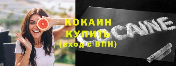 твердый Кулебаки