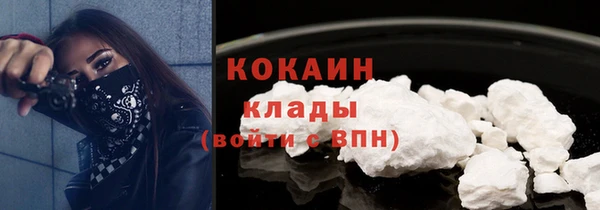 твердый Кулебаки