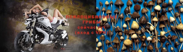 твердый Кулебаки